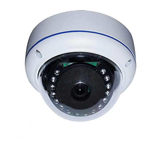 Analog 700TVL 180 Degree Wide Angle Fish eye CCTV Security Vandal proof Dome Camera Night Vision IR