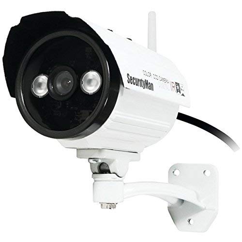 Security Man IPCAM Network Camera - Color IPCAM-SDII